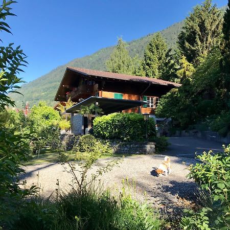 Chalet Rosemarie Ringgenberg Zewnętrze zdjęcie