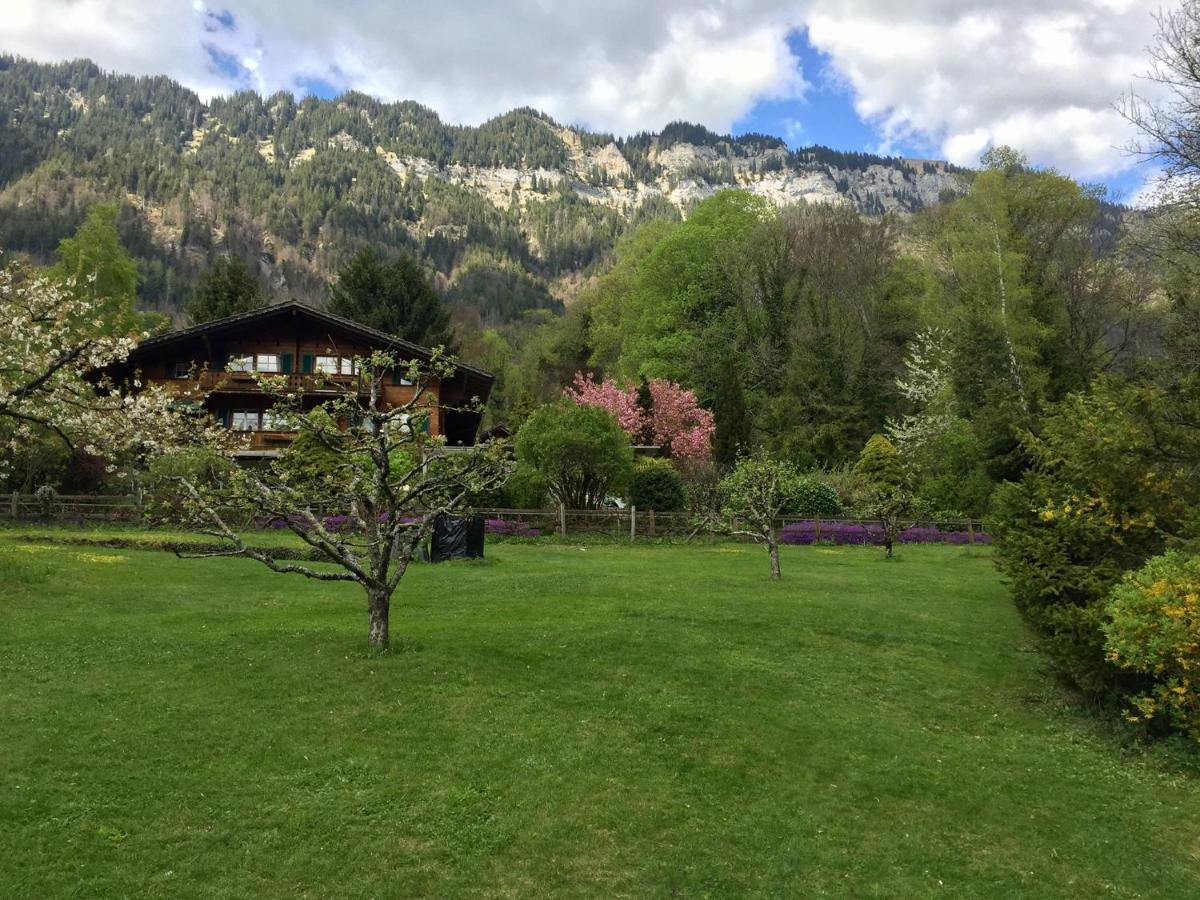 Chalet Rosemarie Ringgenberg Zewnętrze zdjęcie